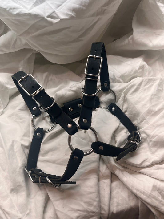 Leather Bulldog Harness